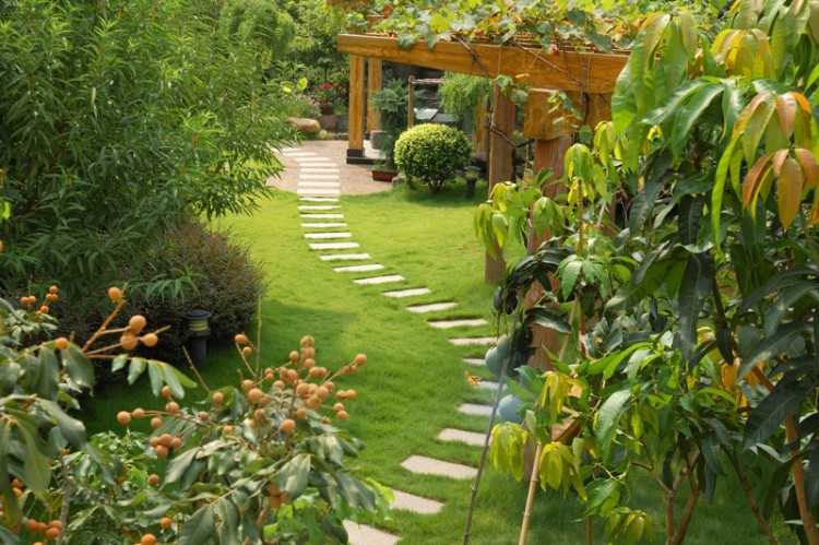 backyard oasis ideas 9 clever ways for a shady backyard oasis diy backyard oasis