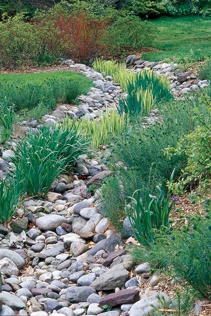 Moss, leaves, and cover crop not