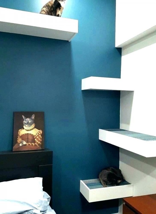 modern cat tower condo sneak peek new vesper furniture from coming soon designer wood frontpet tree