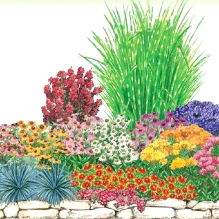 flower bed designs