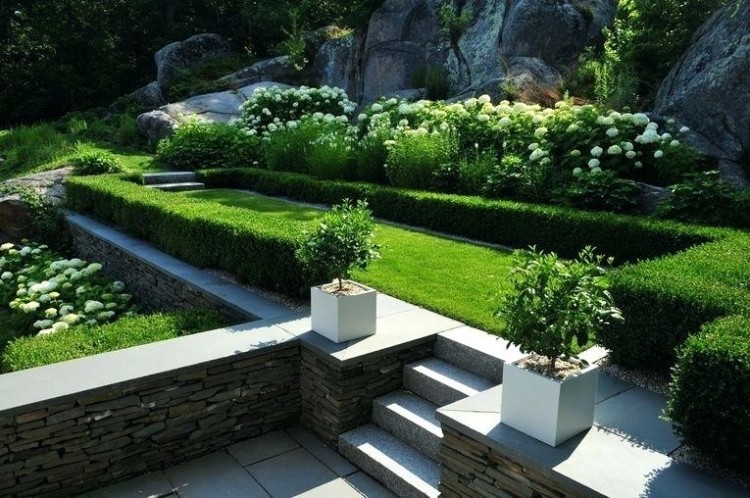 A common characteristic of formal European gardens is low to medium height box hedges in geometric shapes enclosing informal mixed planting as seen here in