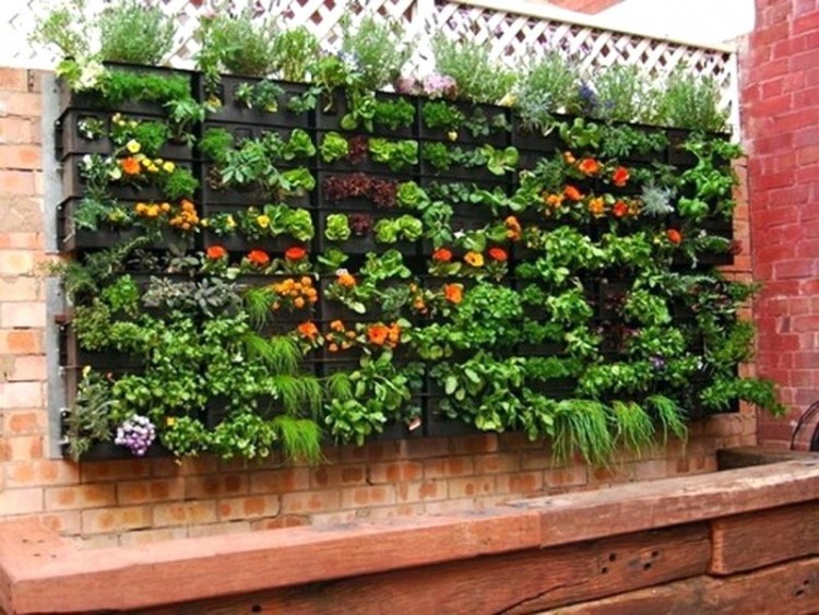 home garden ideas