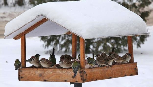 These bird feeder plans from 'Lowes' have a bit of a “Frank Lloyd Wright”  feel, and we love it! This one might take you a day to finish, but looks  like a