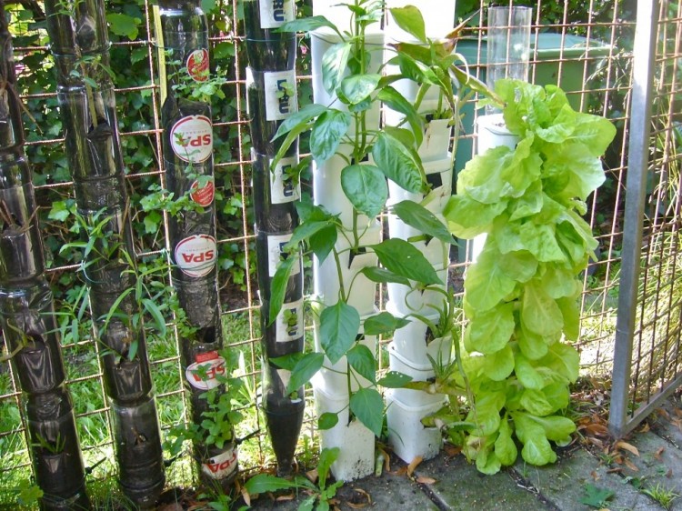 raised garden box