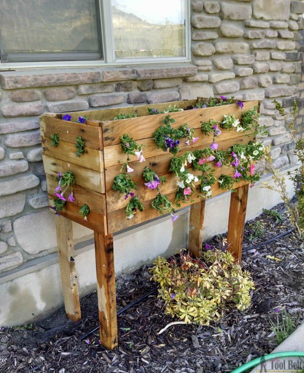 garden box designs