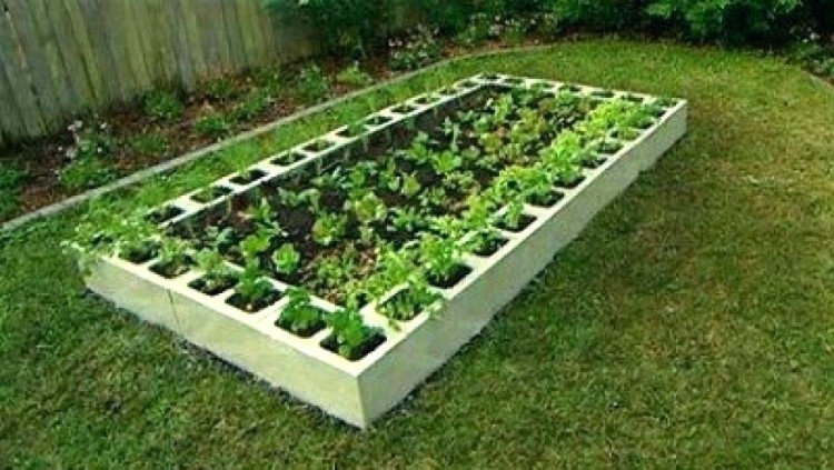 raised bed garden design home gardening design ideas with beautiful raised bed gardening with fence and