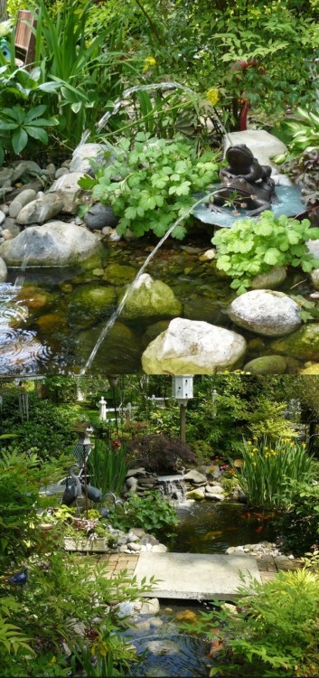 backyard koi pond ideas garden