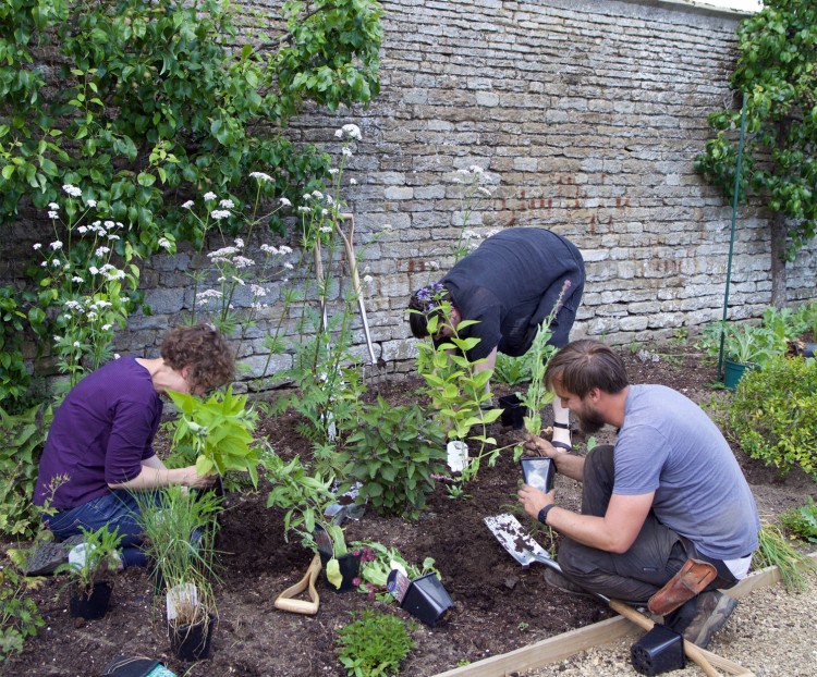 PBL: Our Classroom Garden