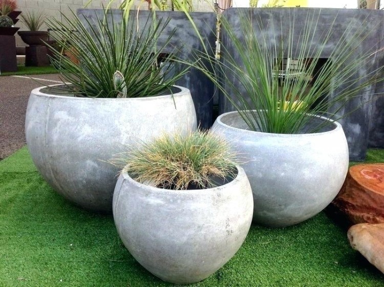 simple and unique container gardening ideas unusual by design