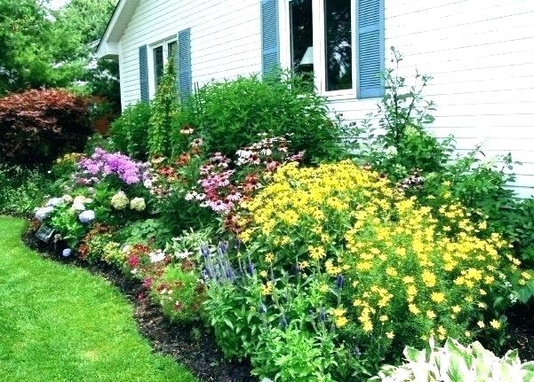 rose garden ideas