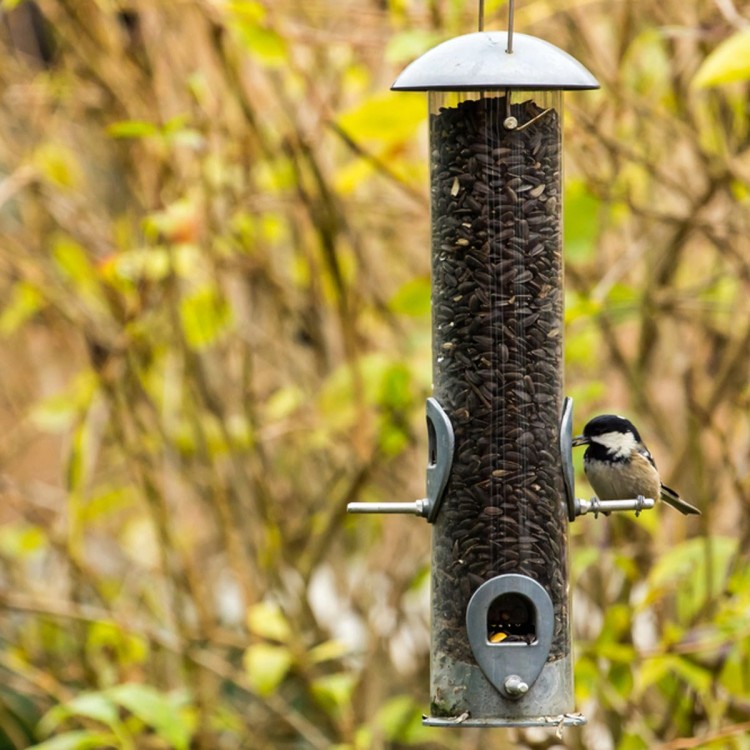 cool bird feeders compelling unique feeder design