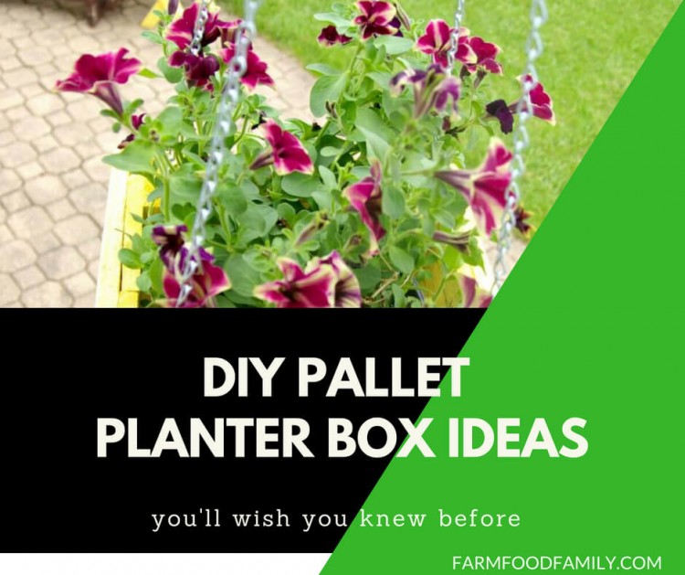 garden box ideas