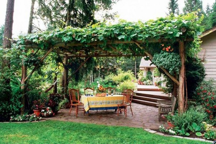 patio garden ideas