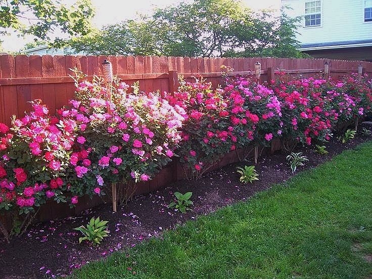 garden bed fence raised garden bed fence ideas raised bed garden fence  amazing ideas raised garden