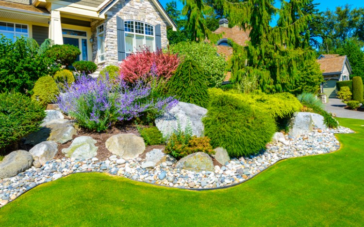 home garden landscaping ideas