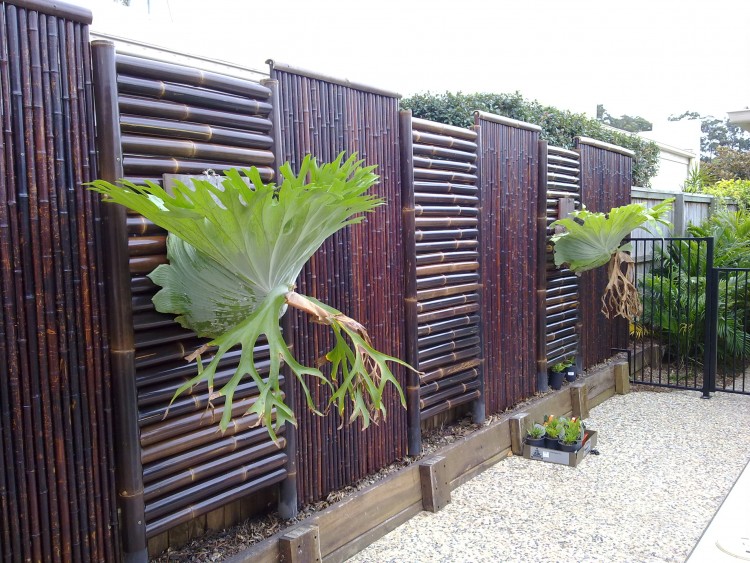 patio privacy fence designs outdoor privacy fence fence ideas home interior decor catalog