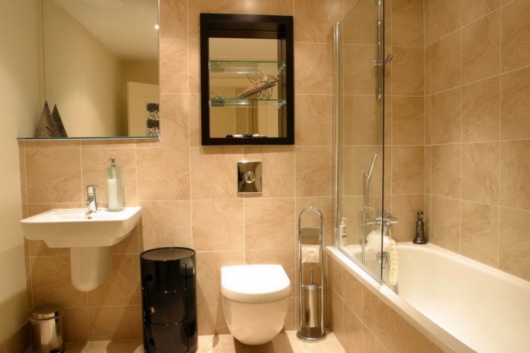 Small Bathroom Interior Design Ideas In India