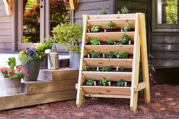 The Vertical Pallet Garden