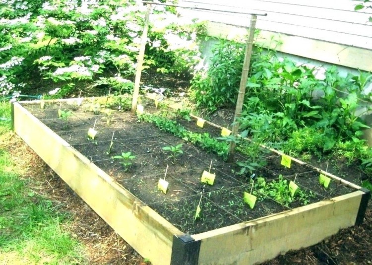 above ground garden box raised