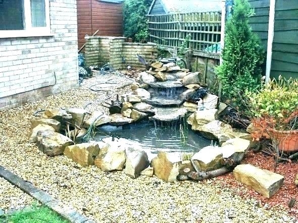 small fish pond ideas