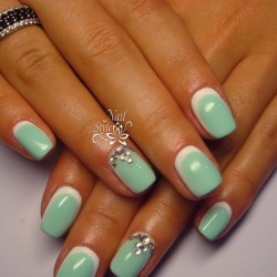 Gel Polish Peach Nail Art:Mint Green Nail Art Dragonfly Mint Nail Art Design Idea Designs Blog Coral