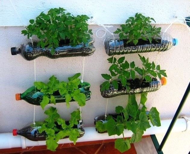 home garden ideas