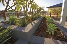 tropical garden ideas perth