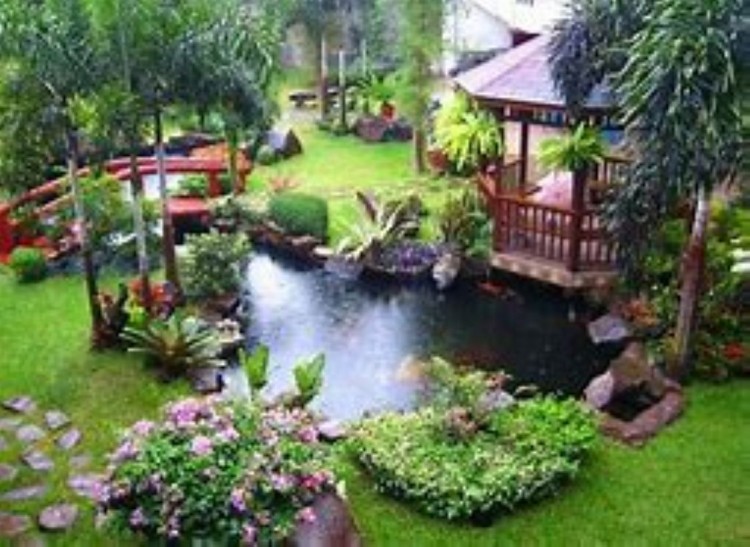 new home landscaping ideas