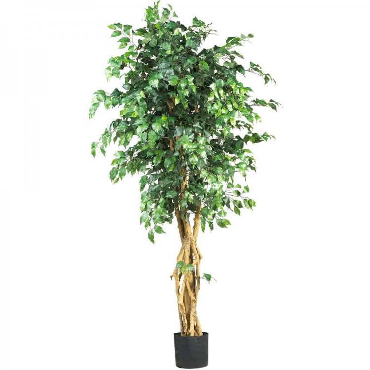 live ficus tree latest design artificial banyan fiberglass large outdoor buy for sale near me trees