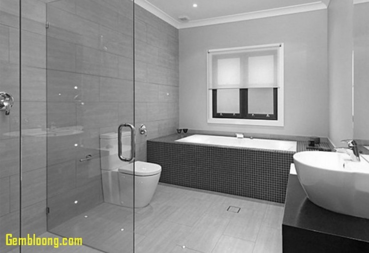 small toilet designs toilets for small spaces toilets bathroom toilet designs tank decor toilets small design