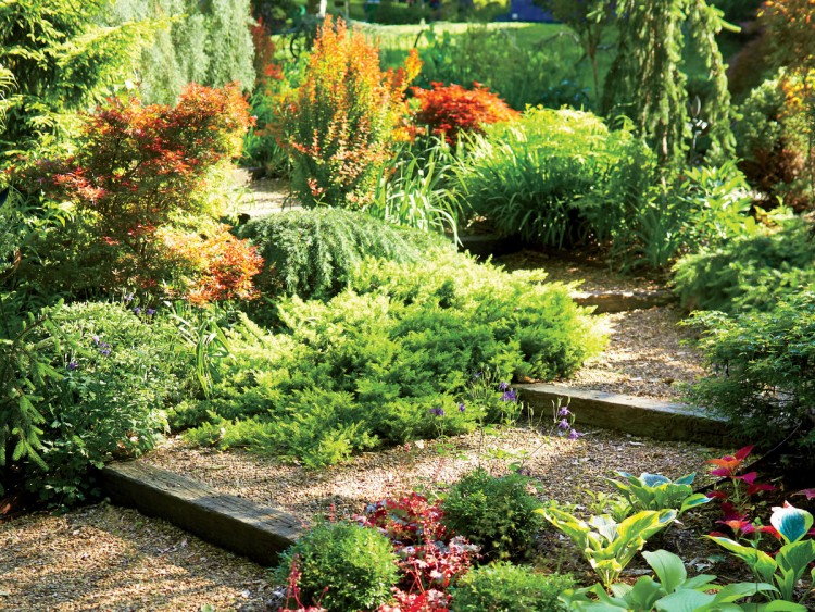 Shade Container Garden