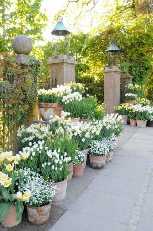 They need a good 4cm of compost beneath each bulb, so choose deep pots,