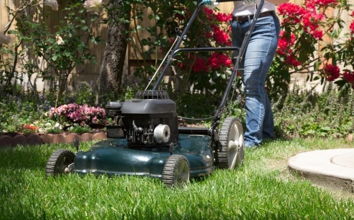 Business photo showcasing Gardening and house activities hobbies