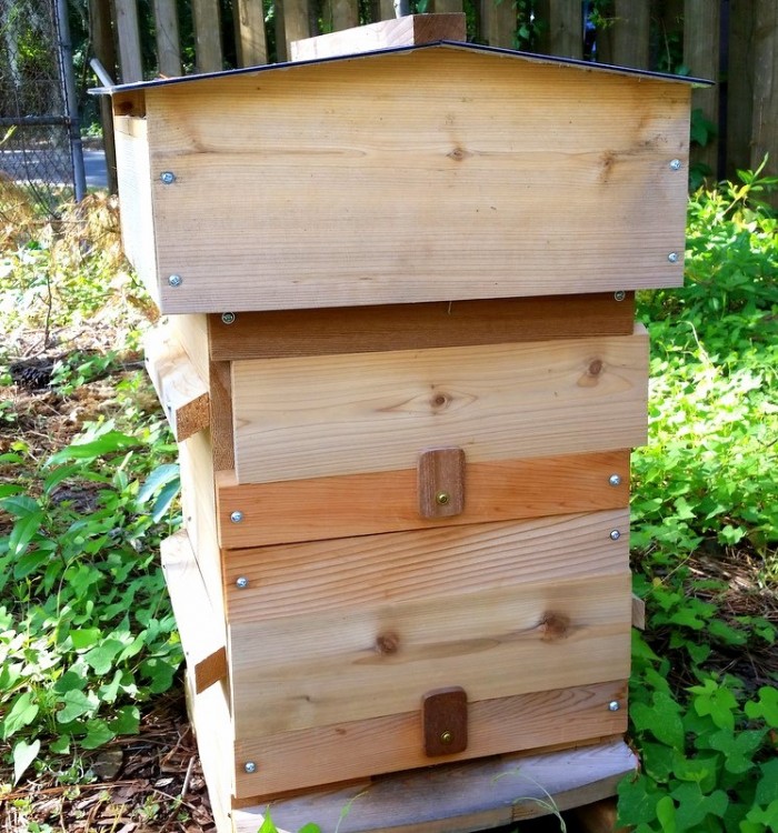 Langstroth Beehive