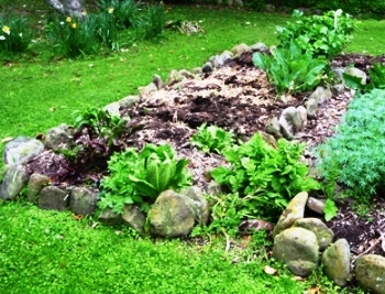 Vegetable Garden