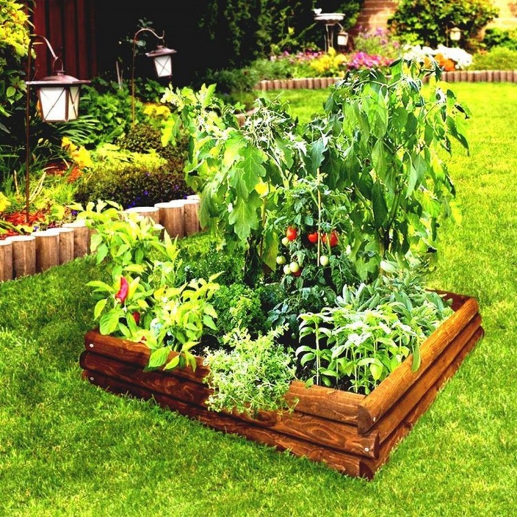 Here is an elevated planter that is great for a small vegetable garden