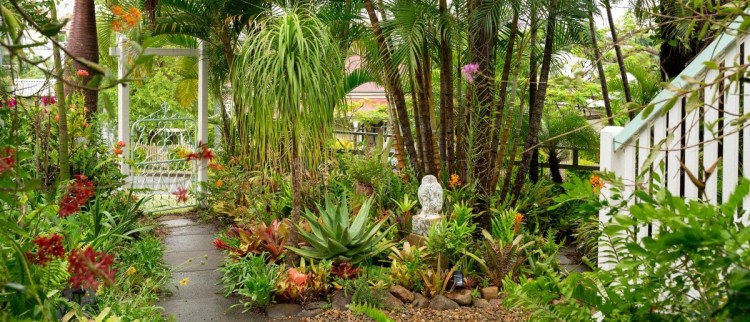 tropical garden ideas best front yard landscaping and designs for pertaining to design brisbane perth