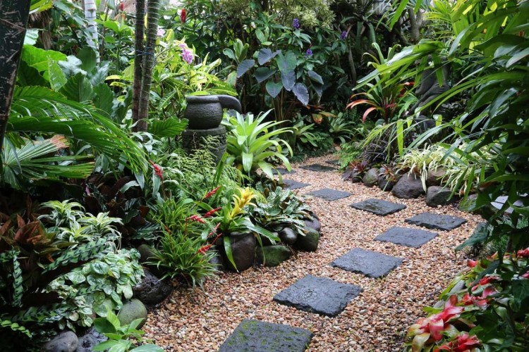 Paradise all year round: A swimming pool surrounded by lush tropical plants