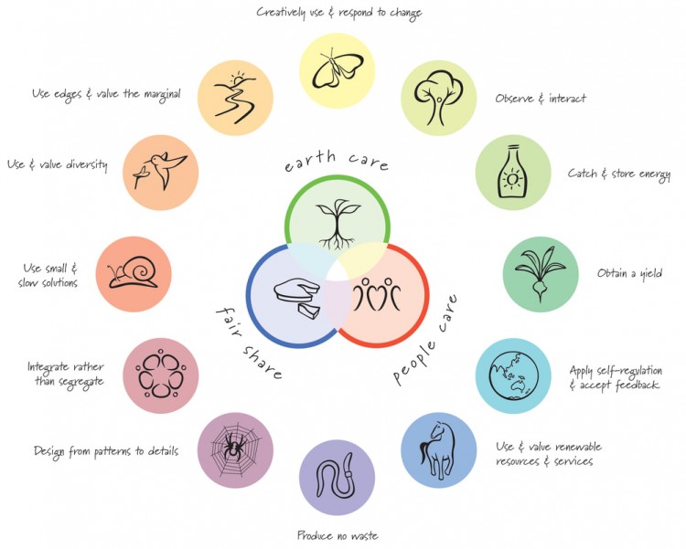 visionarypermaculture