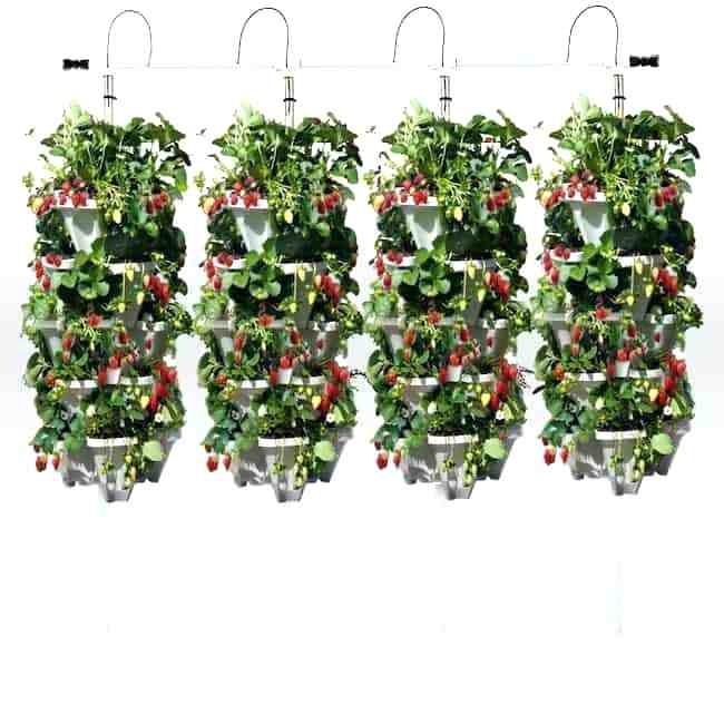 vertical hydroponics