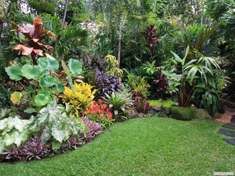 The Taroona Community Garden has over 40 plots of delicious vegetables