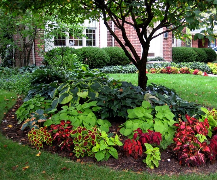 small shade garden ideas shade gardens design perennial shade garden design small shade gardens shade perennials