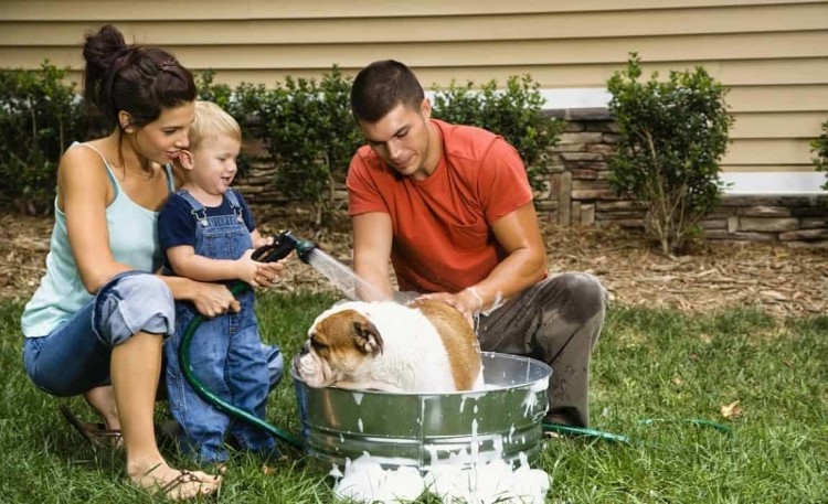 outdoor dog shower