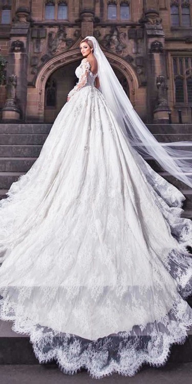 Walid Shehab Haute Couture Wedding Dresses Pretty Ball Gown Sheer