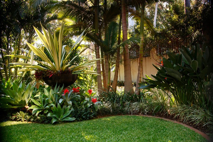 53 Beautiful Tropical Garden Ideas Queensland On A Budget