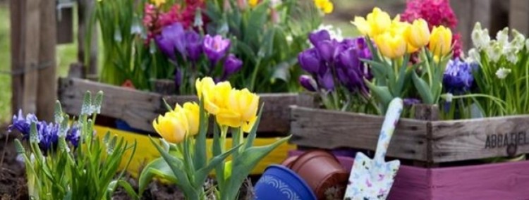 The best part about these raised garden beds?—Because they're DIY, you can custom make them to fit your ideal space