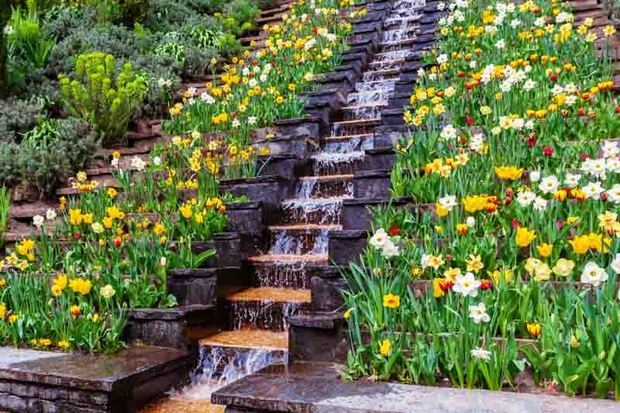 Gardening on a slope requires plants that tolerate dry soil