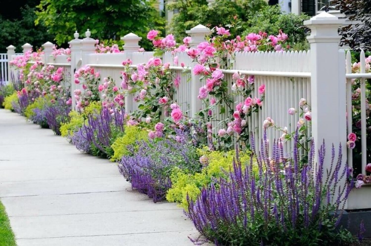 corner garden ideas corner fence landscaping ideas garden images corner garden ideas on a budget