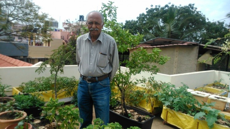 breathtaking home and garden ideas home vegetable garden ideas in tamil