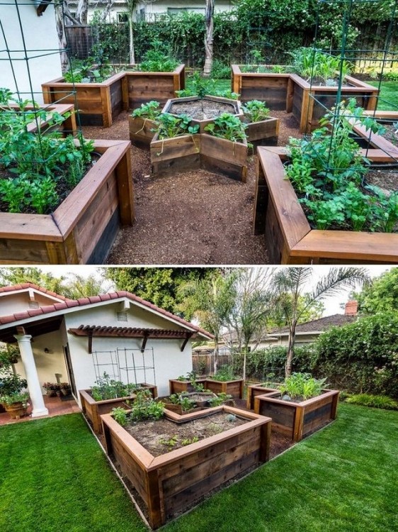 Raised Bed with Trellis